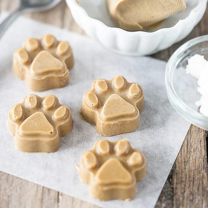 Healthy organic homemade dog treat