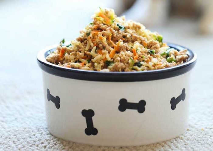 Organic chicken dog food