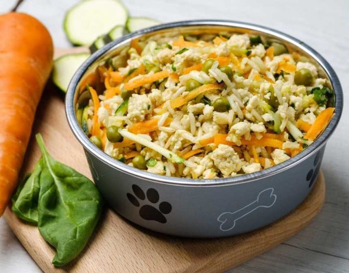Vegetarian organic dog food